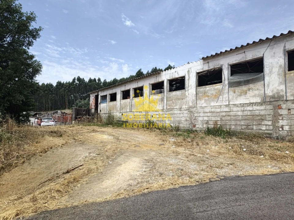 Terreno para Venda em Alcobertas Foto 4
