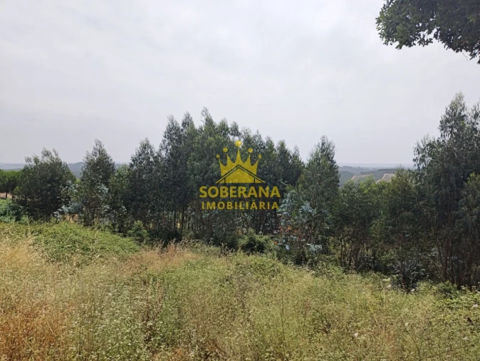 Terreno para Venda em Alcobertas Foto 14
