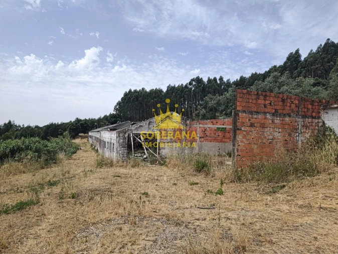 Terreno para Venda em Alcobertas Foto 7