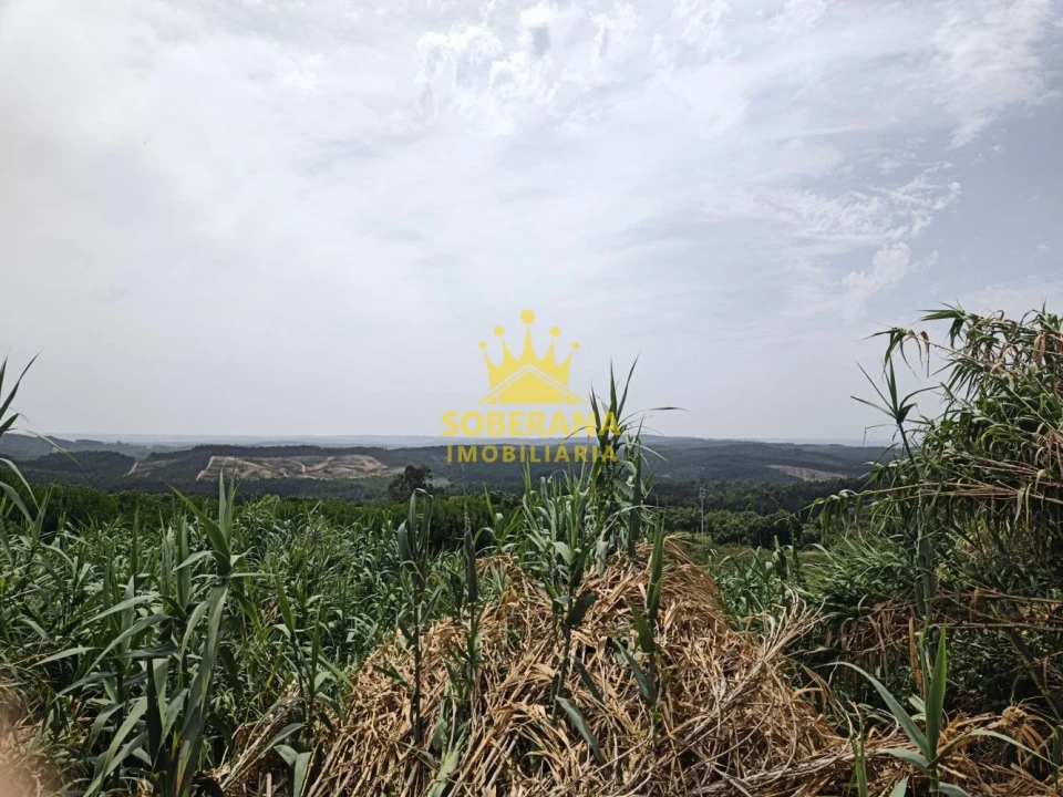 Terreno para Venda em Alcobertas Foto 12