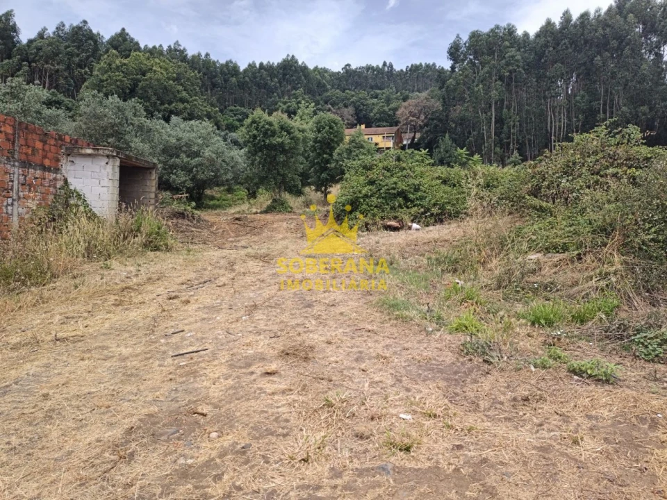 Terreno para Venda em Alcobertas Foto 11