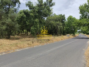 Terreno para Venda em Alcobertas