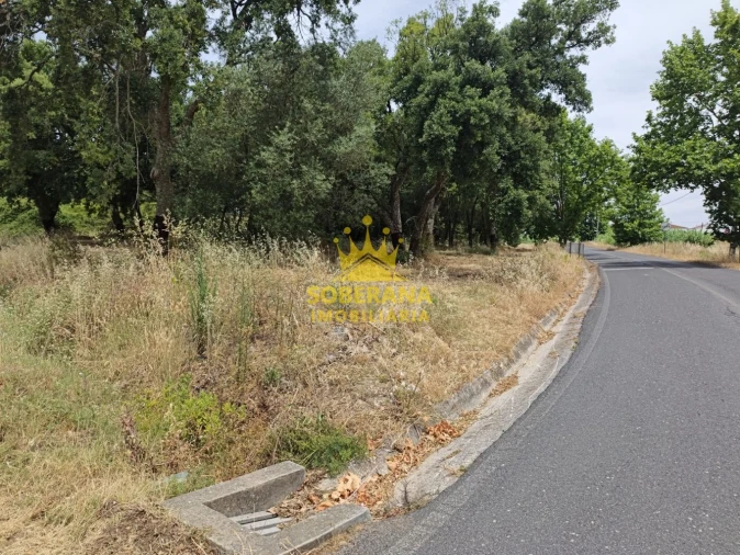 Terreno para Venda em Alcobertas Foto 5