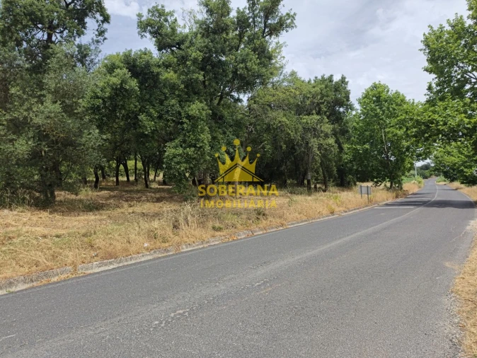 Terreno para Venda em Alcobertas Foto 4