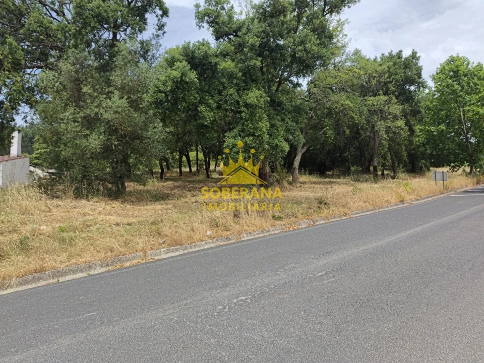 Terreno para Venda em Alcobertas Foto 8