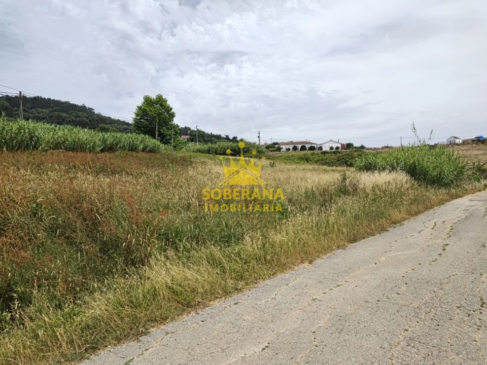 Terreno para Venda em Alcobertas Foto 3
