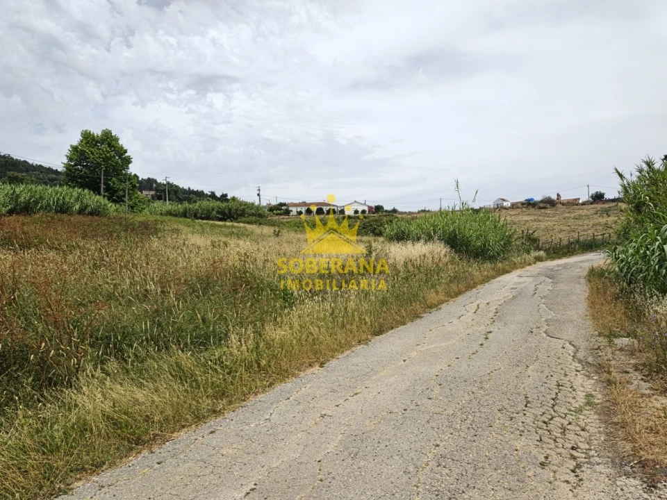 Terreno para Venda em Alcobertas Foto 2