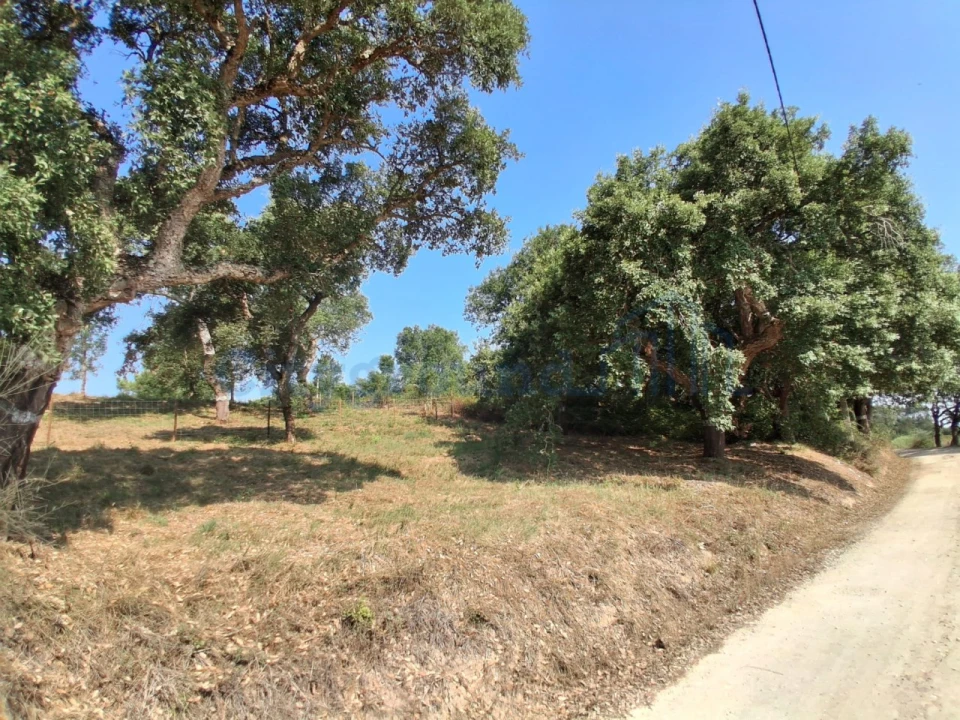 Terreno para Venda em A dos Negros Foto 2