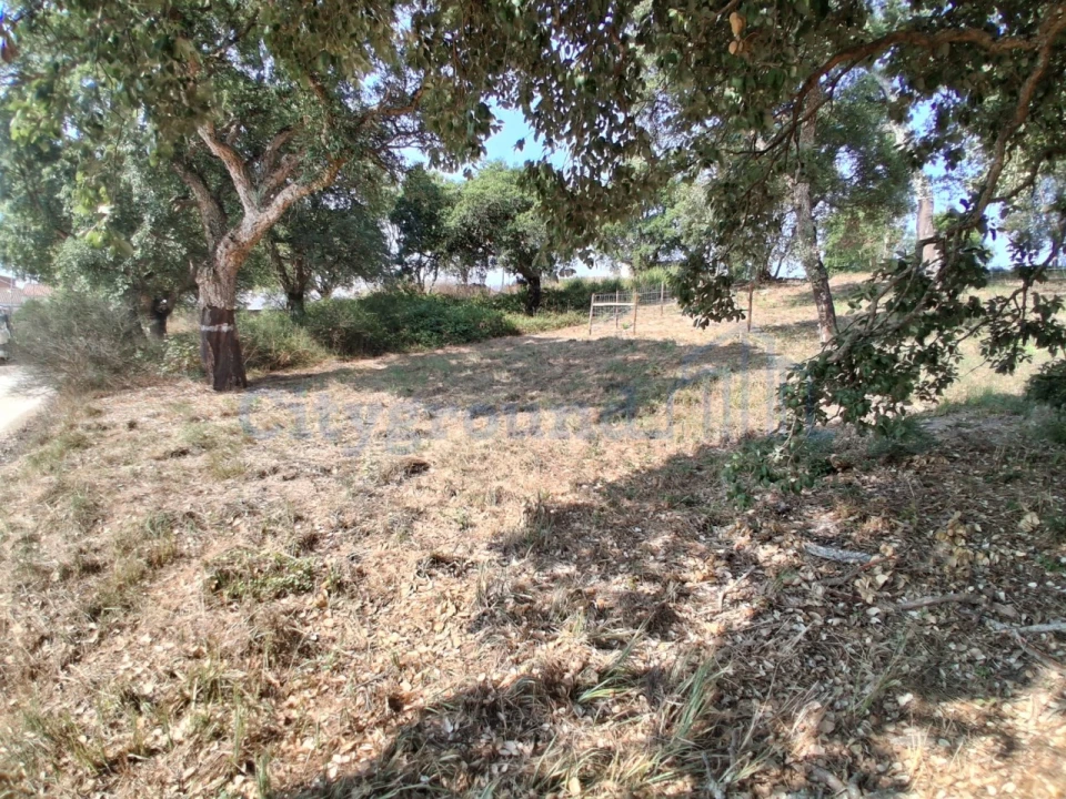 Terreno para Venda em A dos Negros Foto 4