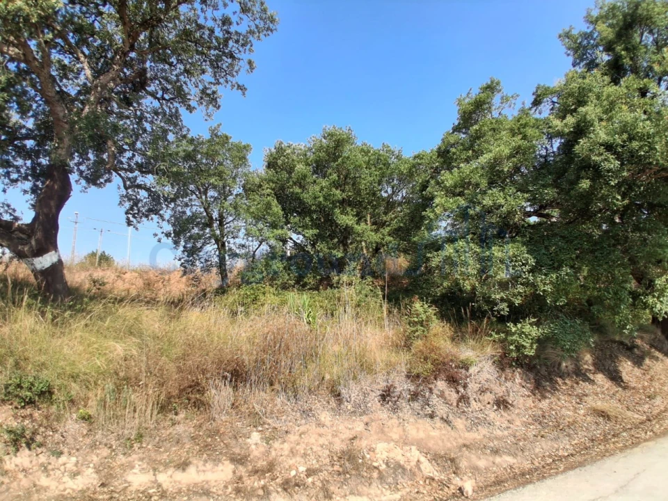 Terreno para Venda em A dos Negros Foto 5