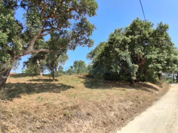 Terreno para Venda em A dos Negros