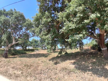 Terreno para Venda em A dos Negros