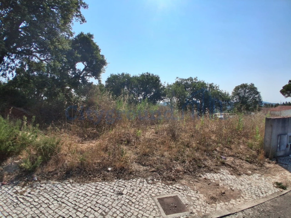 Terreno para Venda em A dos Negros Foto 3