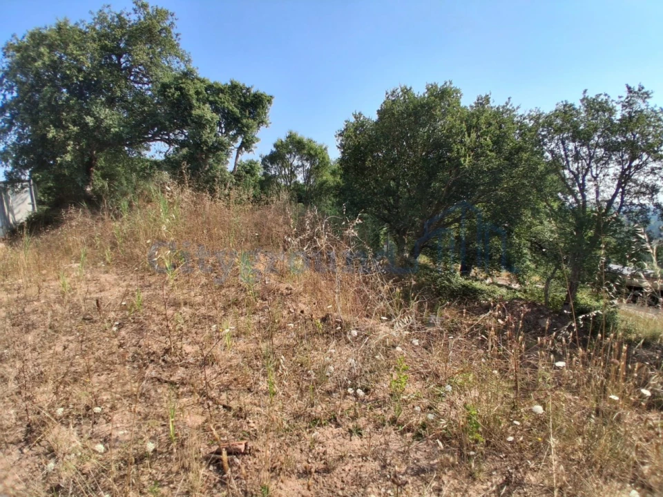 Terreno para Venda em A dos Negros Foto 4