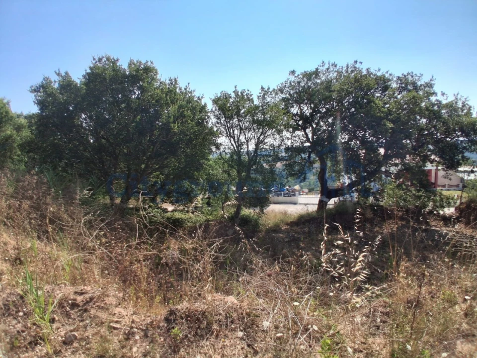 Terreno para Venda em A dos Negros Foto 5
