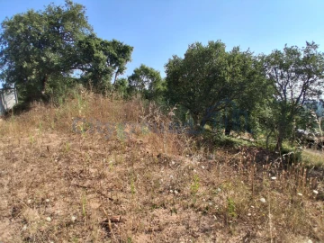 Terreno para Venda em A dos Negros