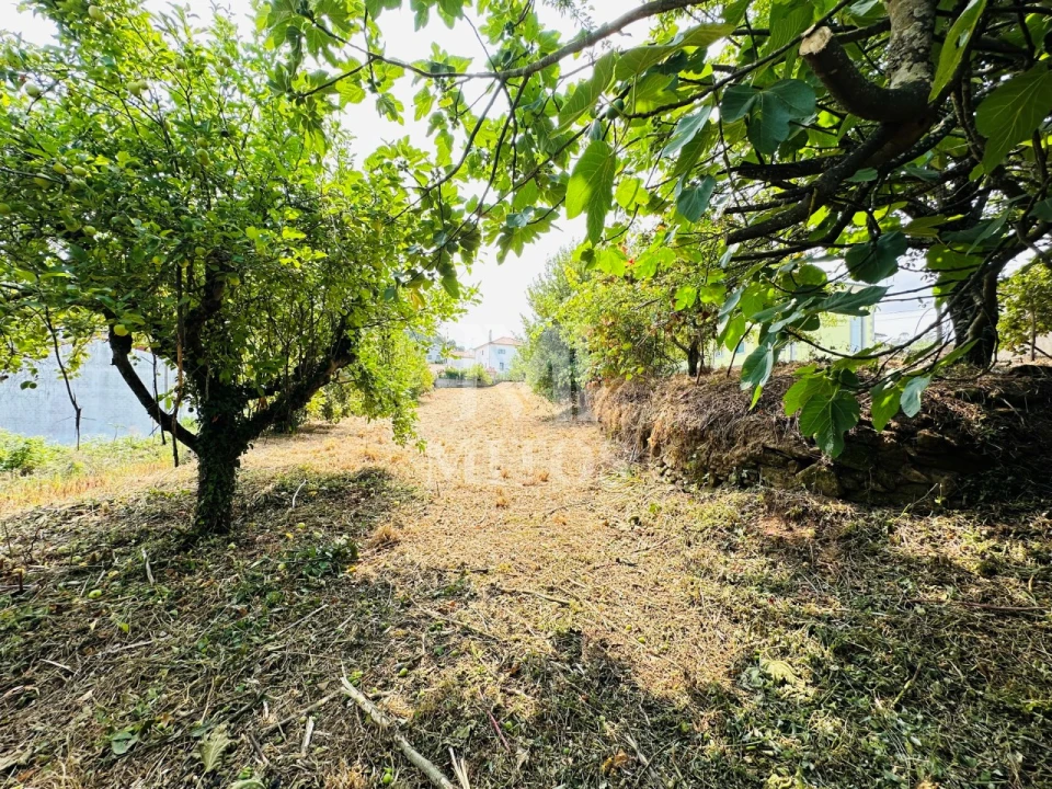 Moradia T3 para Venda em Santa Marta de Portuzelo Foto 10