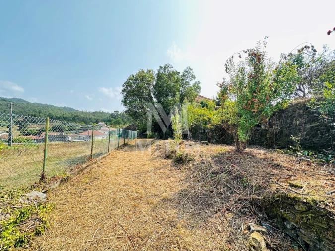 Moradia T3 para Venda em Santa Marta de Portuzelo Foto 9