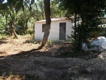 Terreno para Venda em Alvados e Alcaria