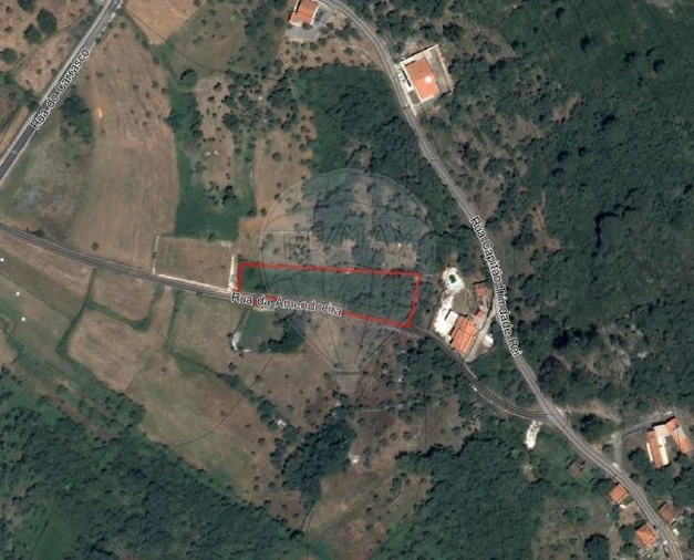 Terreno para Venda em Alvados e Alcaria Foto 3