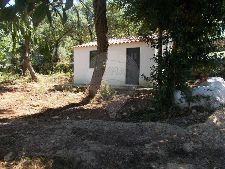 Terreno para Venda em Alvados e Alcaria Foto 2