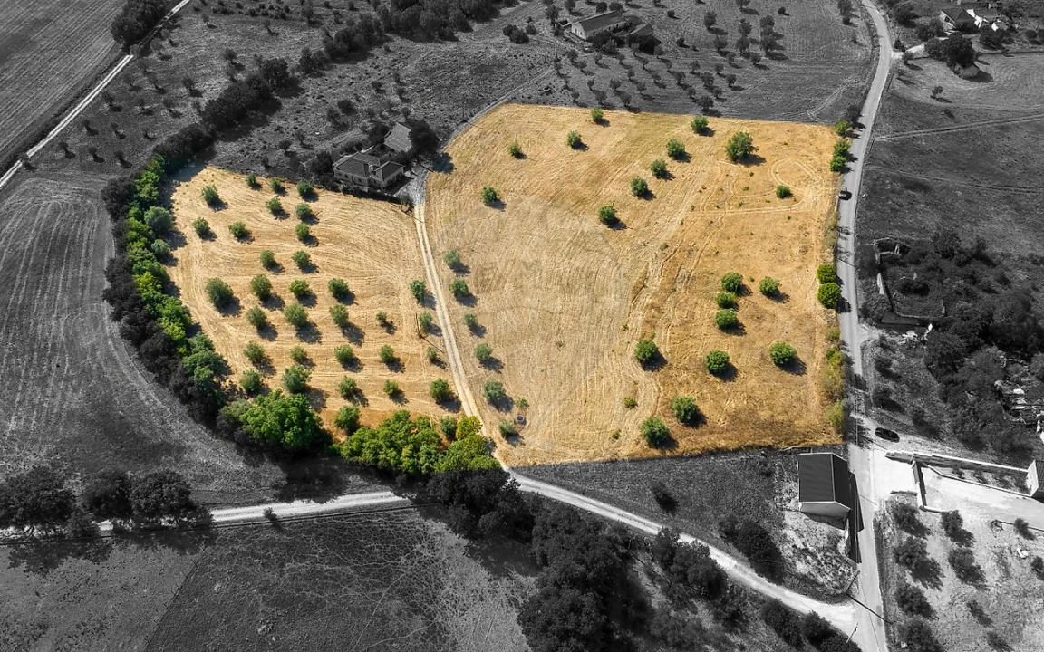 Terreno para Venda em São Vicente do Paul e Vale de Figueira Foto 5