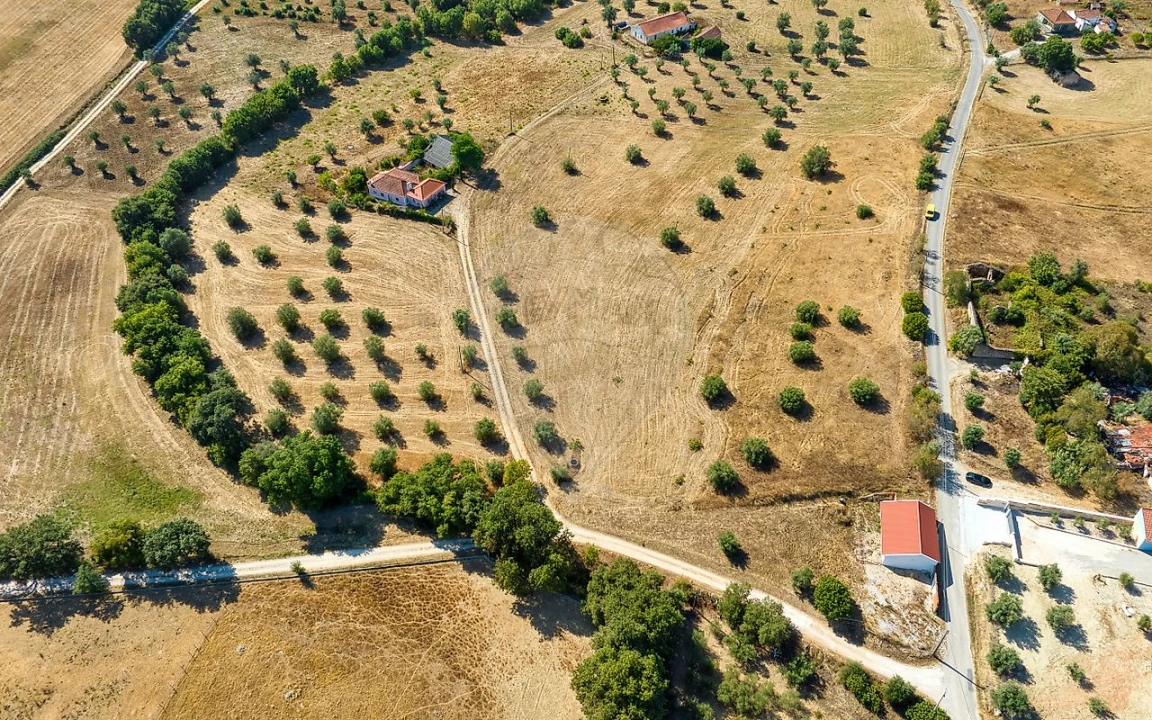 Terreno para Venda em São Vicente do Paul e Vale de Figueira Foto 8