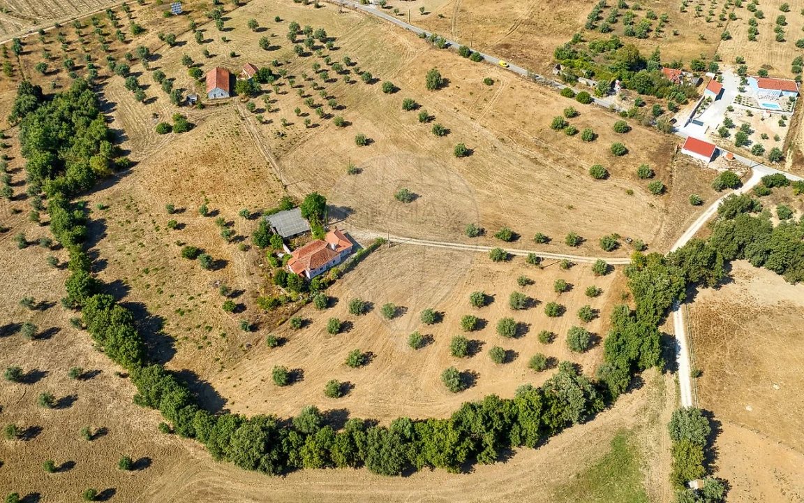 Terreno para Venda em São Vicente do Paul e Vale de Figueira Foto 11