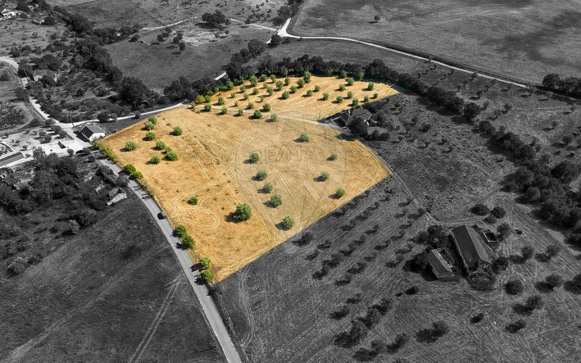 Terreno para Venda em São Vicente do Paul e Vale de Figueira Foto 17