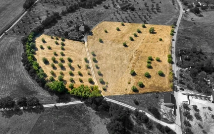 Terreno para Venda em São Vicente do Paul e Vale de Figueira