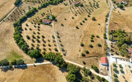 Terreno para Venda em São Vicente do Paul e Vale de Figueira