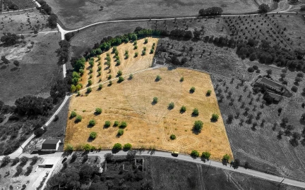 Terreno para Venda em São Vicente do Paul e Vale de Figueira