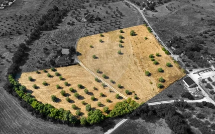 Terreno para Venda em São Vicente do Paul e Vale de Figueira