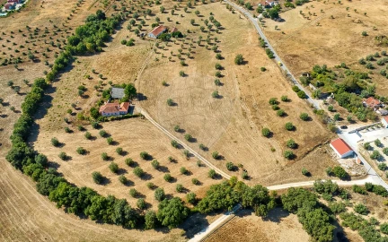 Terreno para Venda em São Vicente do Paul e Vale de Figueira