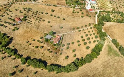 Terreno para Venda em São Vicente do Paul e Vale de Figueira