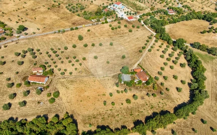 Terreno para Venda em São Vicente do Paul e Vale de Figueira