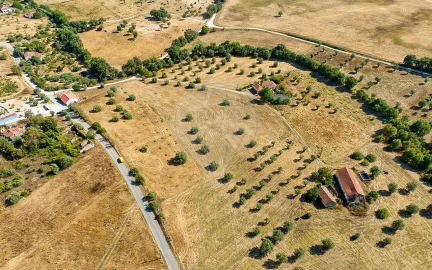 Terreno para Venda em São Vicente do Paul e Vale de Figueira