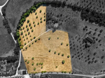 Terreno para Venda em São Vicente do Paul e Vale de Figueira
