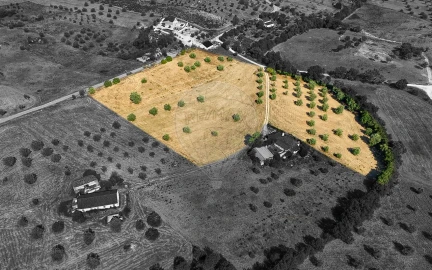 Terreno para Venda em São Vicente do Paul e Vale de Figueira