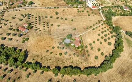 Terreno para Venda em São Vicente do Paul e Vale de Figueira
