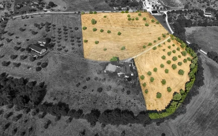 Terreno para Venda em São Vicente do Paul e Vale de Figueira