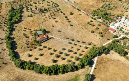 Terreno para Venda em São Vicente do Paul e Vale de Figueira