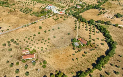 Terreno para Venda em São Vicente do Paul e Vale de Figueira