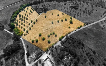 Terreno para Venda em São Vicente do Paul e Vale de Figueira