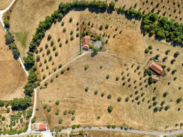 Terreno para Venda em São Vicente do Paul e Vale de Figueira