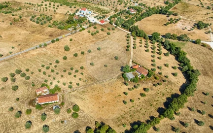 Terreno para Venda em São Vicente do Paul e Vale de Figueira