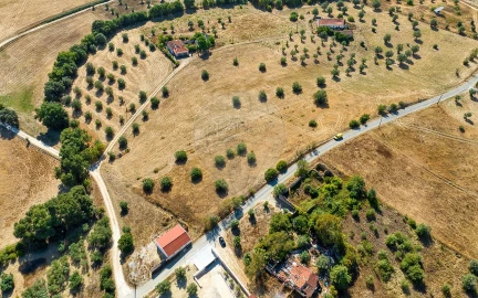 Terreno para Venda em São Vicente do Paul e Vale de Figueira