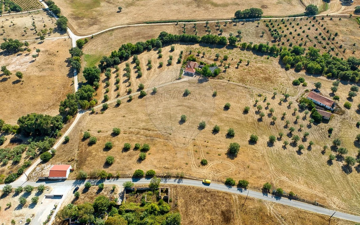 Terreno para Venda em São Vicente do Paul e Vale de Figueira Foto 4