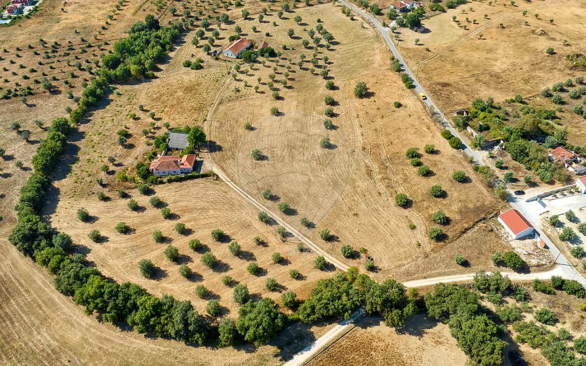 Terreno para Venda em São Vicente do Paul e Vale de Figueira Foto 7
