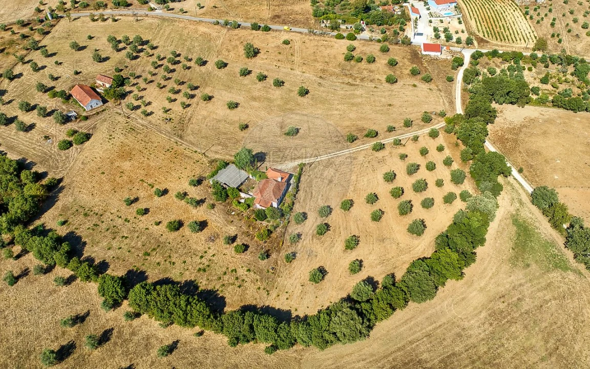 Terreno para Venda em São Vicente do Paul e Vale de Figueira Foto 13